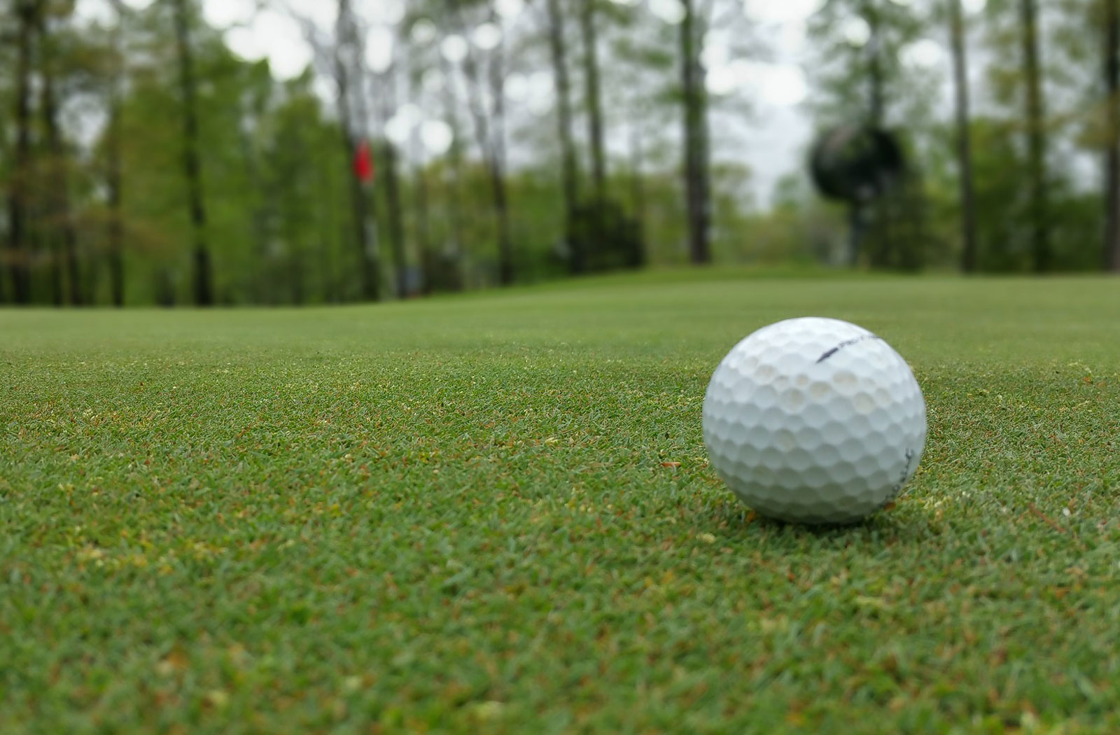 Golf ball on green